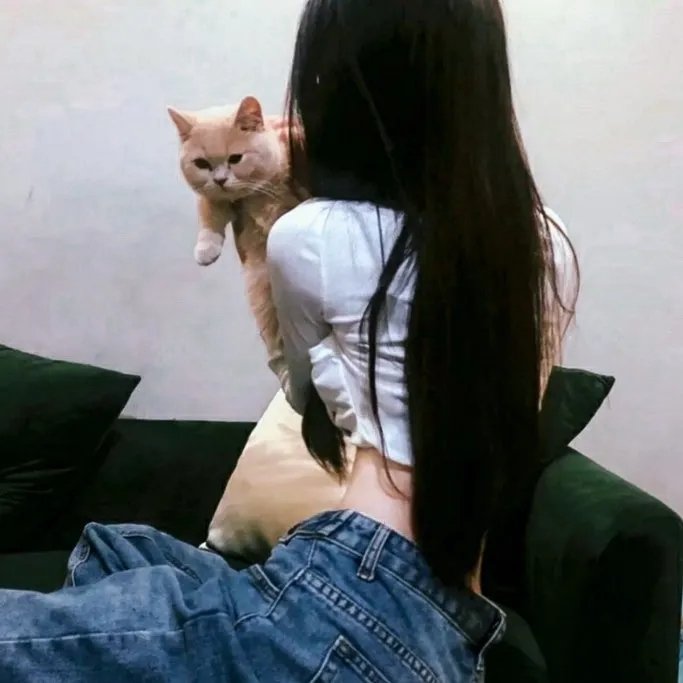 深情的朋友